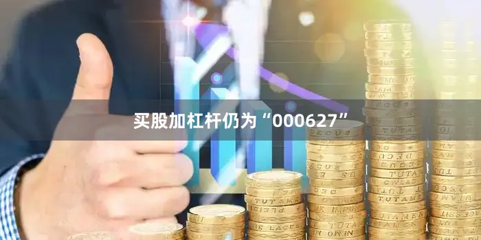 买股加杠杆仍为“000627”