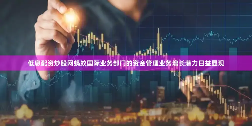 低息配资炒股网蚂蚁国际业务部门的资金管理业务增长潜力日益显现