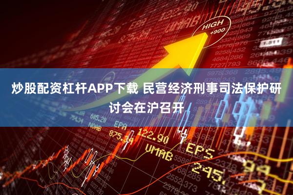 炒股配资杠杆APP下载 民营经济刑事司法保护研讨会在沪召开