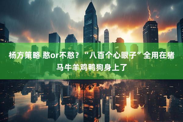 杨方策略 憨or不憨？“八百个心眼子”全用在猪马牛羊鸡鸭狗身上了